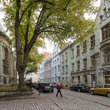 Old Town Next St Olav's Church And Tower Apartment *